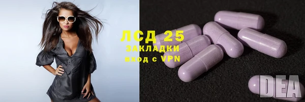 гашик Алексеевка