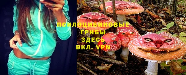 спиды Алзамай