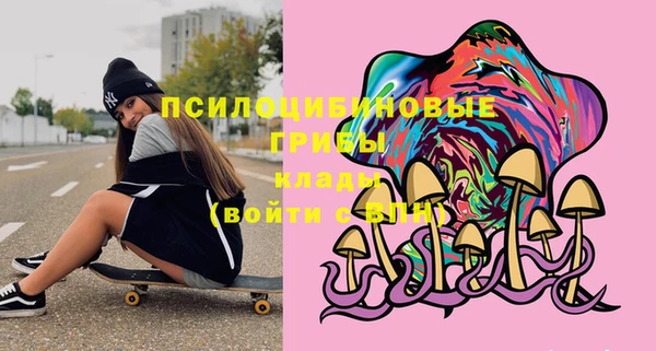 спиды Алзамай
