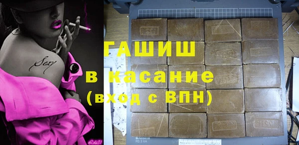 гашик Алексеевка