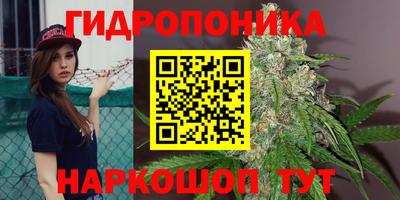 скорость Можга