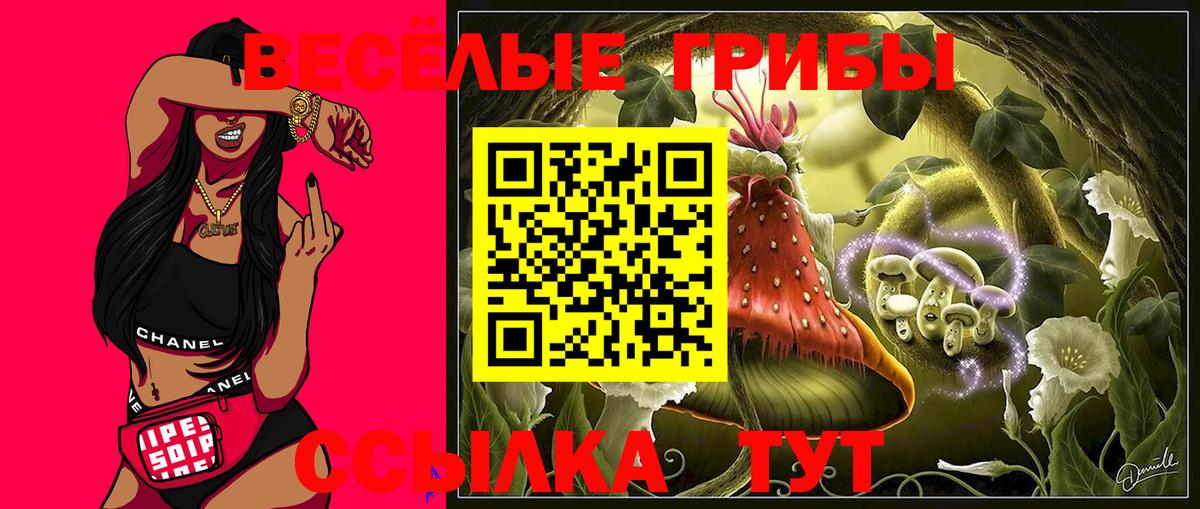 Галлюциногенные грибы прущие грибы Красноярск