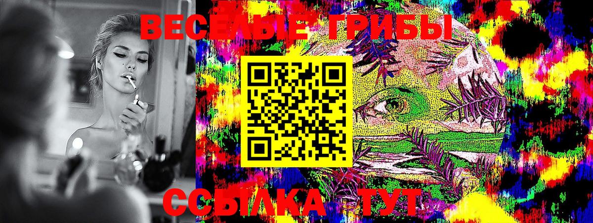 Красноярск  Галлюциногенные грибы Magic Shrooms  Вход с VPN 