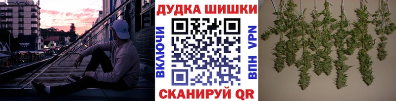 где можно купить наркотик  Красноярск  Бошки марихуана сатива 